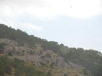 Mallorca 236